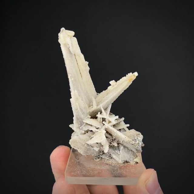 Anglesite ps. Cerussite (classic locale)