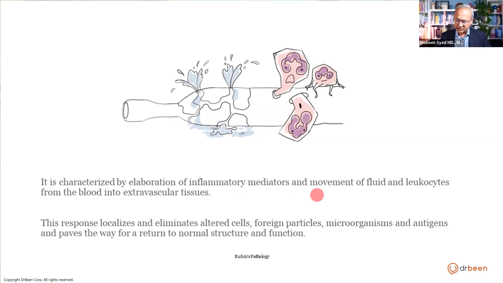 Key Inflammatory Pathways (Inflammation Part 1)