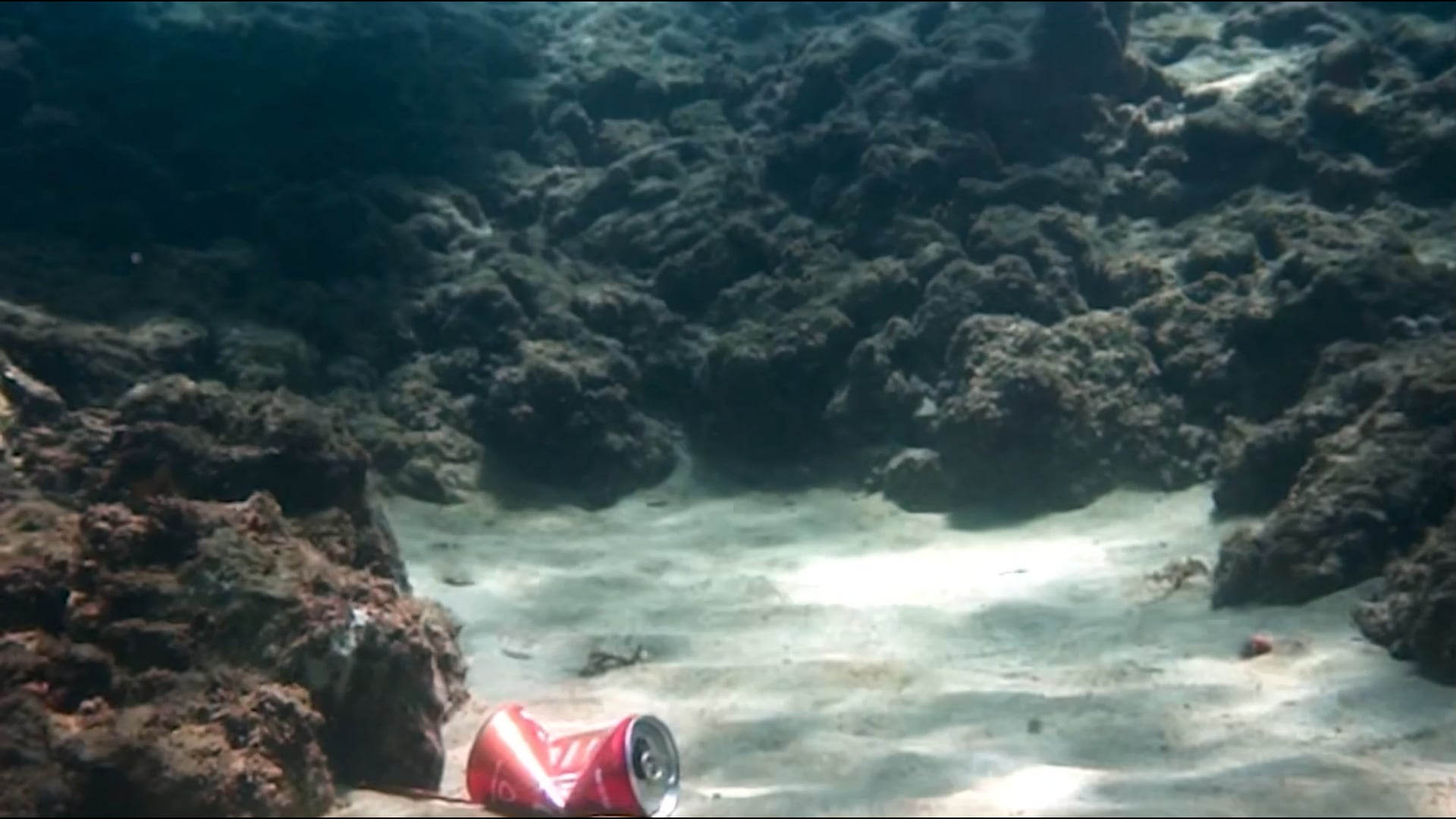 Gamacs Grupo Amigo del Medio Ambiente Colonia Suiza (@gamacsnh) • Facebook, image size:1920x1080