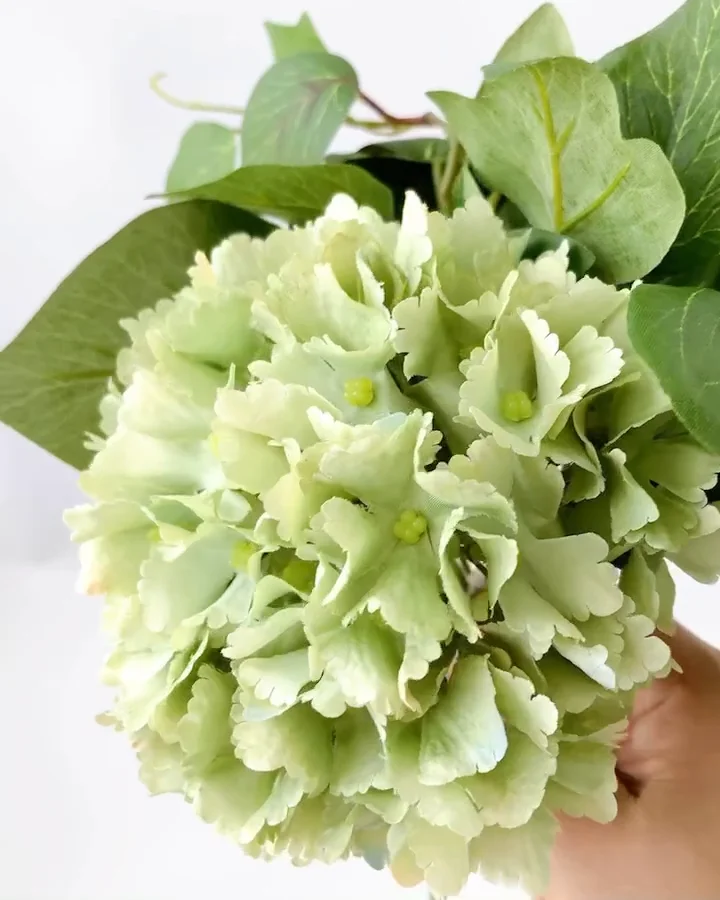 ｱｼﾞｻｲﾐｯｸｽﾌﾞｯｼｭ: 造花（アーティフィシャルフラワー） ｜ YDM