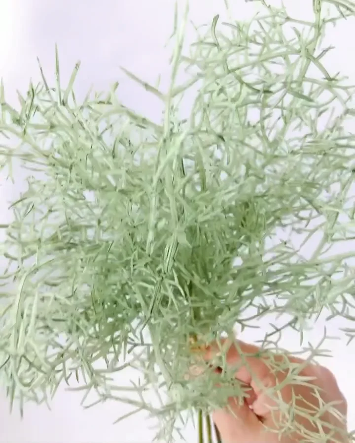 緑色 球形ガラス 約31cm 楽天市場】○選べる4種類 1個売り【レインボーカラー 蓋つき