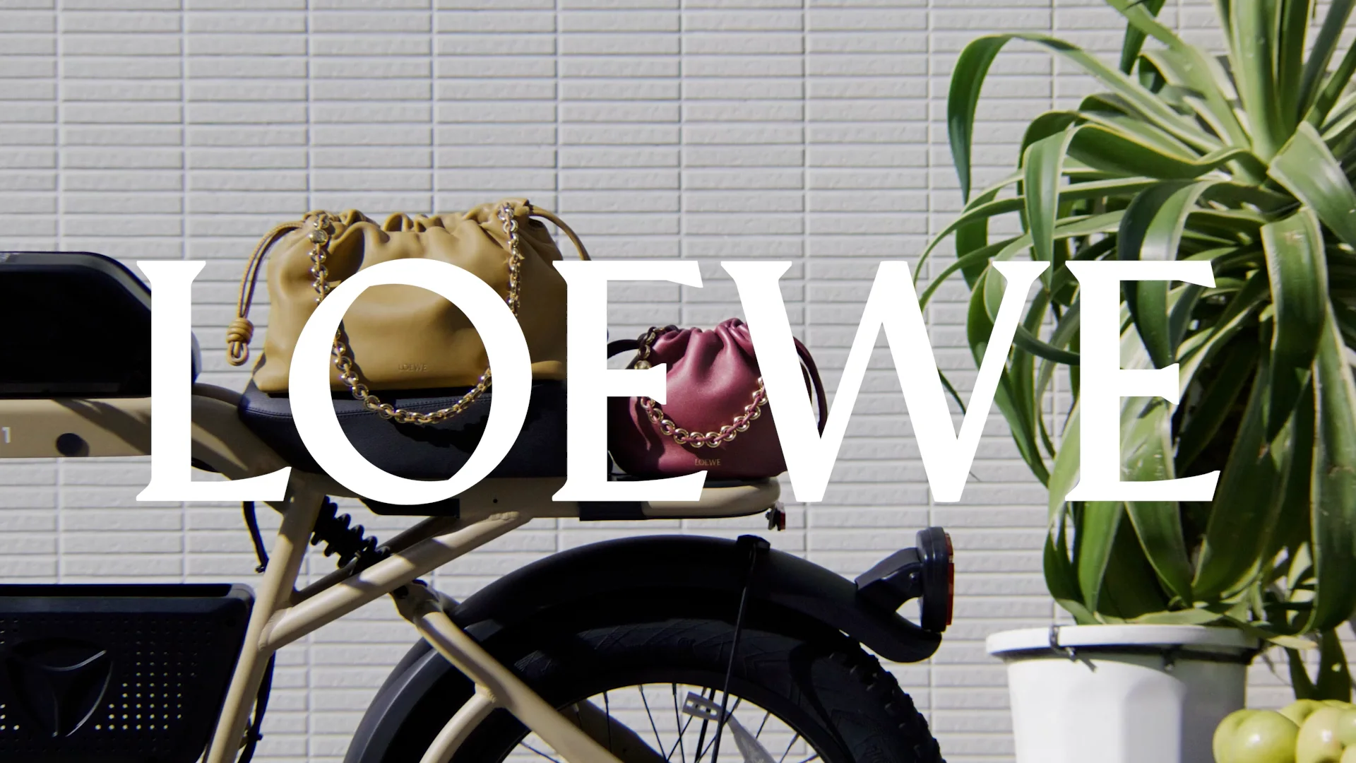 プリン完全正規品 LOEWE スイムウェア　Lsize プリン様専用完全正規品 LOEWE スイムウェア Lsize - メルカリ