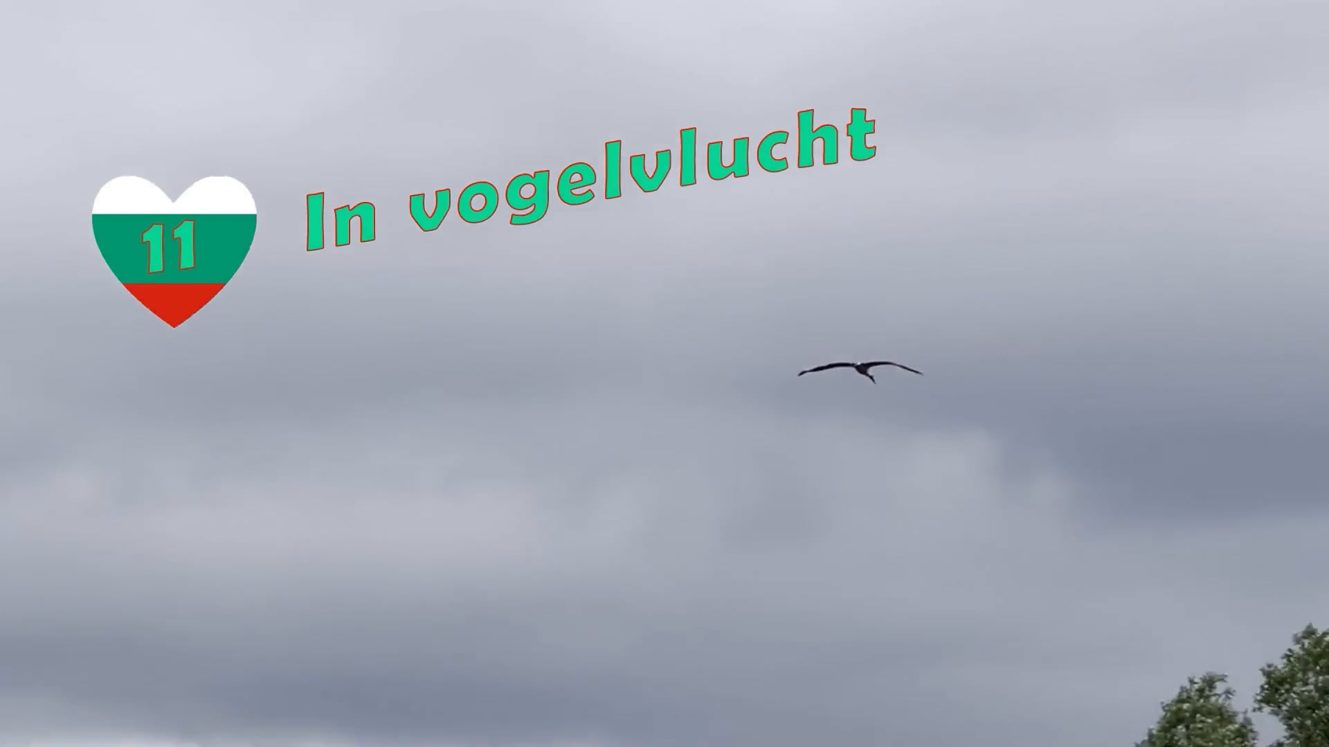 11 In vogelvlucht - NL