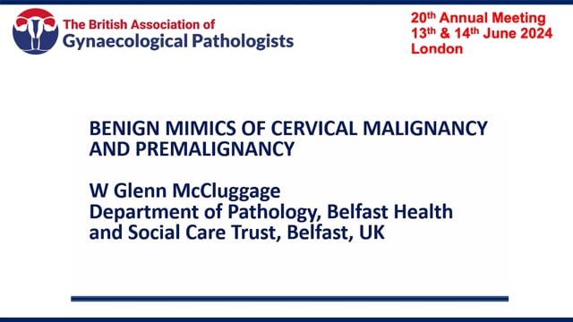 Benign mimics of cervical malignancy and pre-malignancy, Prof Glenn McCluggage