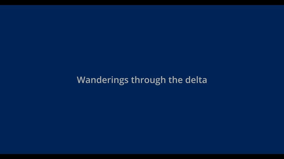 Wanderings through the delta