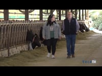 Superar las 1.000 vacas y seguir pensando en nuevos proyectos de futuro