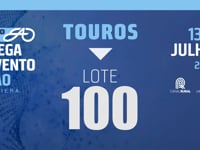 Lote 100