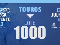 Lote 1000