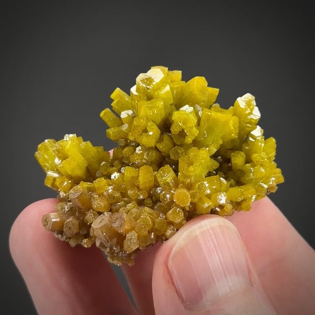Pyromorphite - RC24-07 - Jersey Vein - USA Mineral Specimen