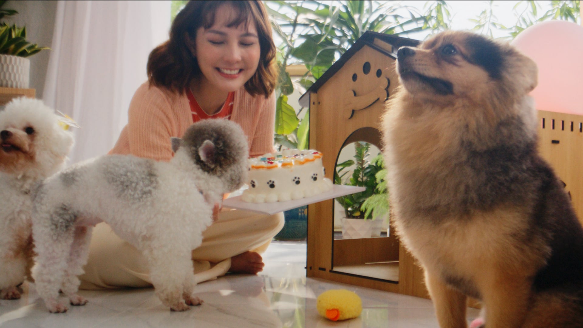 Sunlight Lau Sàn | Nhà Kiểu Mình, Out Trình Nhà Kiểu Mẫu - 2024