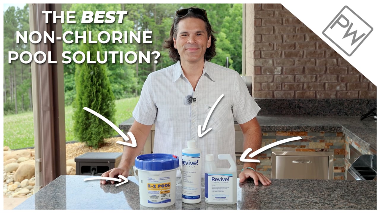 Revive 1 Quart Spray Bottle | Algae Killer | API REV32