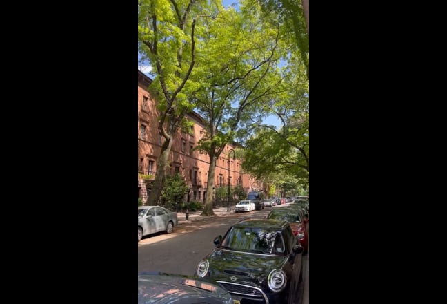 Harlem Room for Rent!  Main Photo