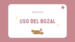 Webinar - Uso del bozal