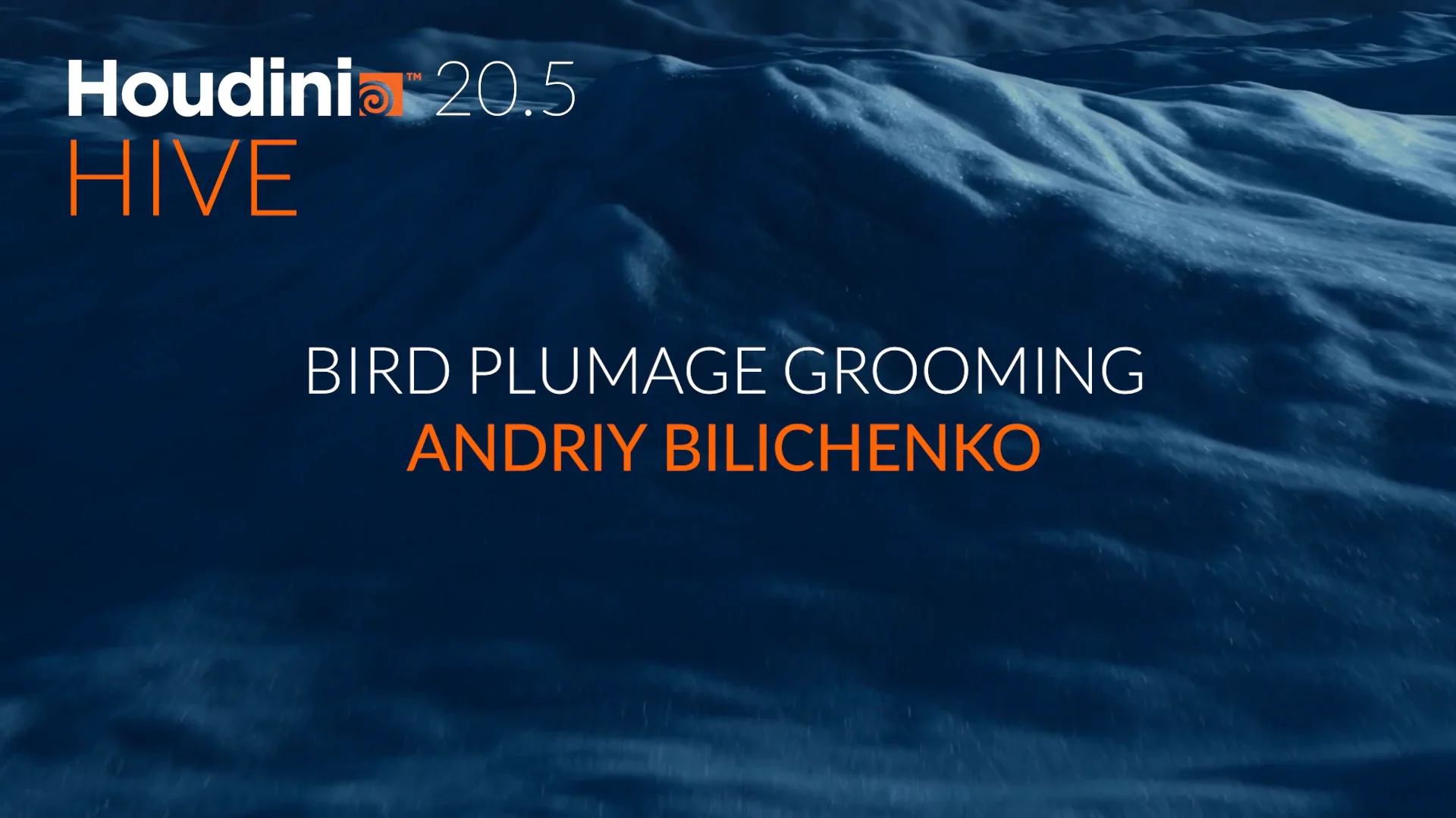 Bird Plumage Grooming | Andriy Bilichenko | Houdini 20.5 HIVE Paris