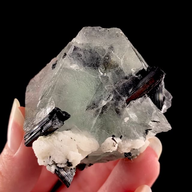 Fluorite with Schorl Tourmaline