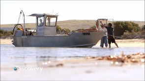 Discovery Channel | Abalone Wars 'Dom Profile'
