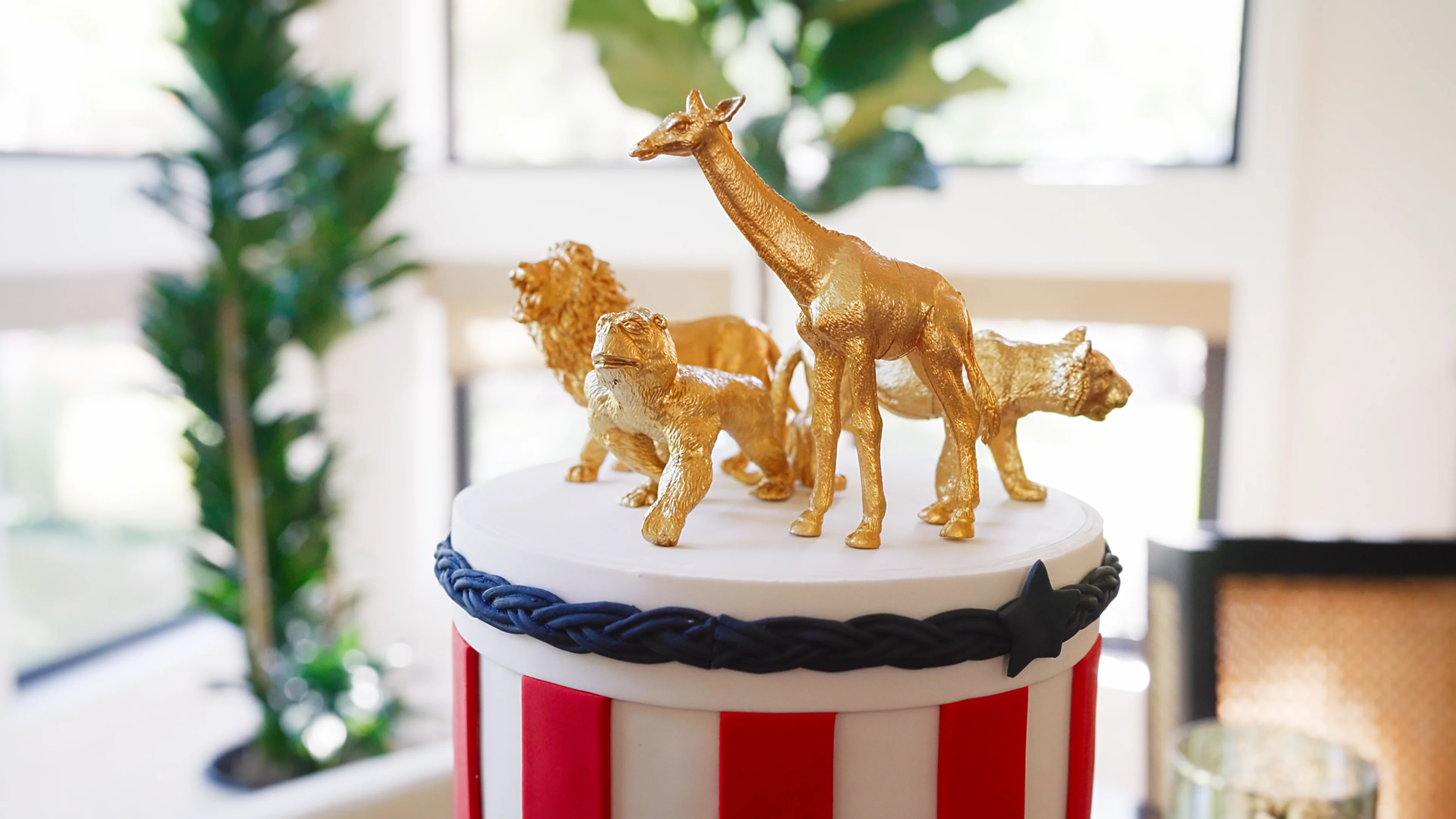 Mason and Michael Grad Party on Vimeo