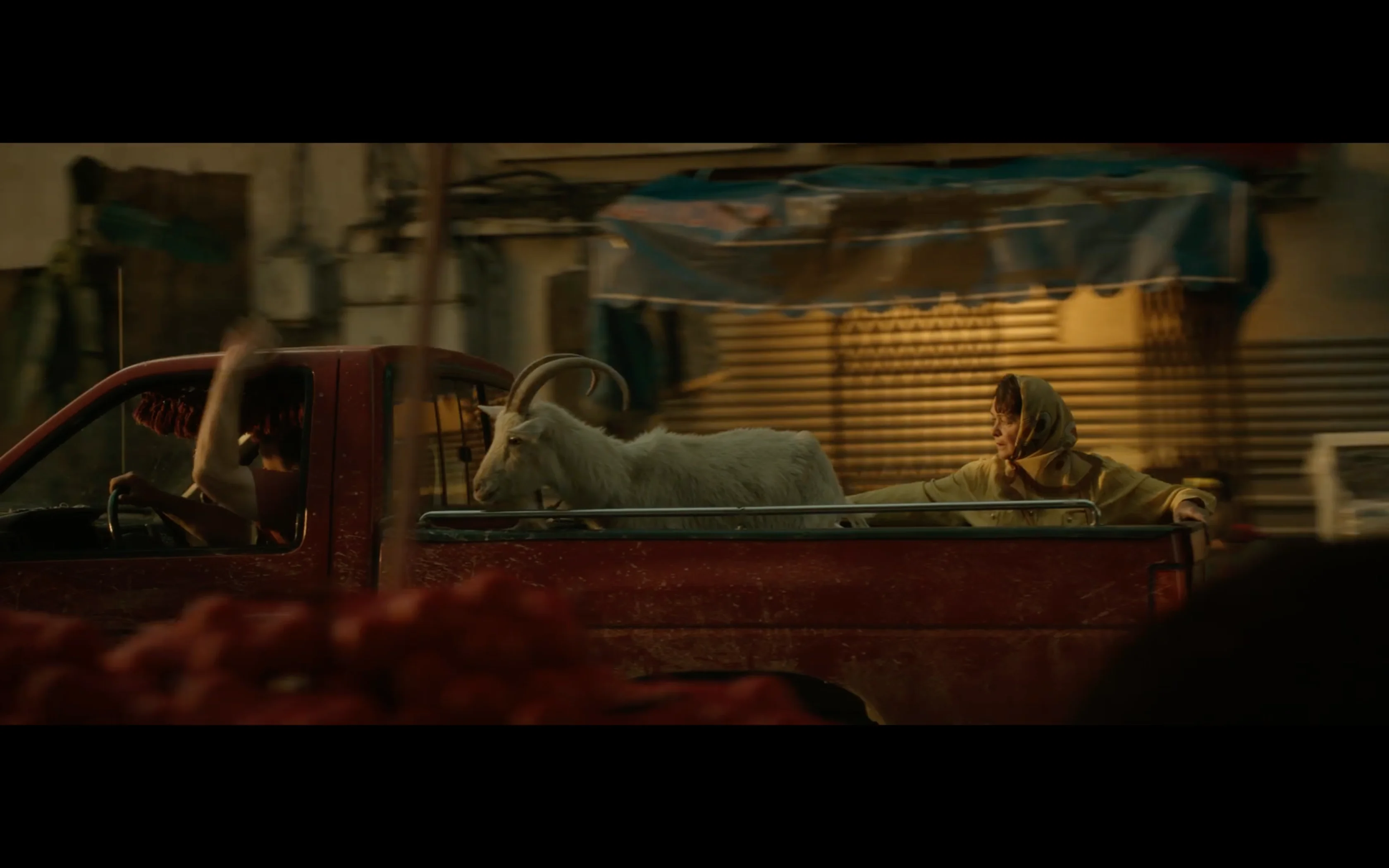RUDOLF KISS * DIRECTOR * Mindigtv | Good Deal Granny on Vimeo