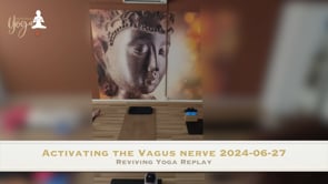 Activating the vagus nerve 2024-06-27