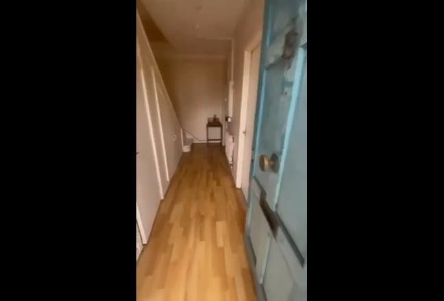Video 1: