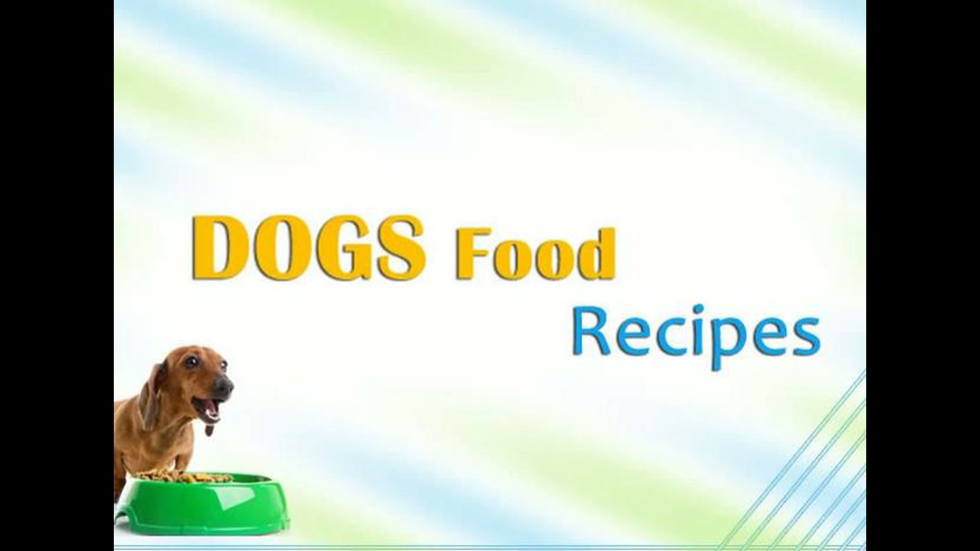 Homemade Dog Food Recipes For Puppies