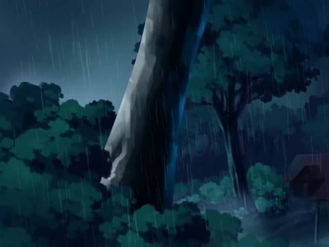 Who’s riding on REDD?