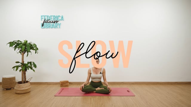 Slow Flow