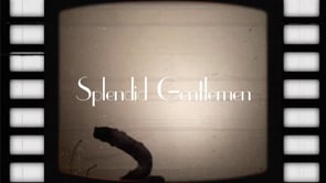 Splendid Gentlemen