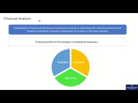 Financial Analysis