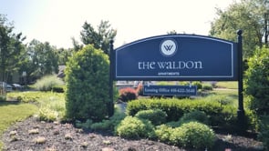 Love Where You Live at the Waldon