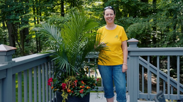 Building an Easy Tropical Container Garden
