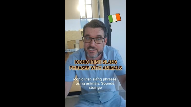Irish slang with animals