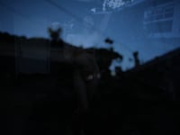 In The Garden (2023)