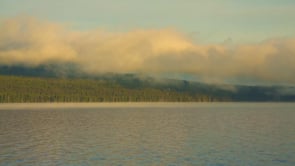 social header