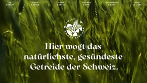 IP SUISSE WEBSITE VIDEO