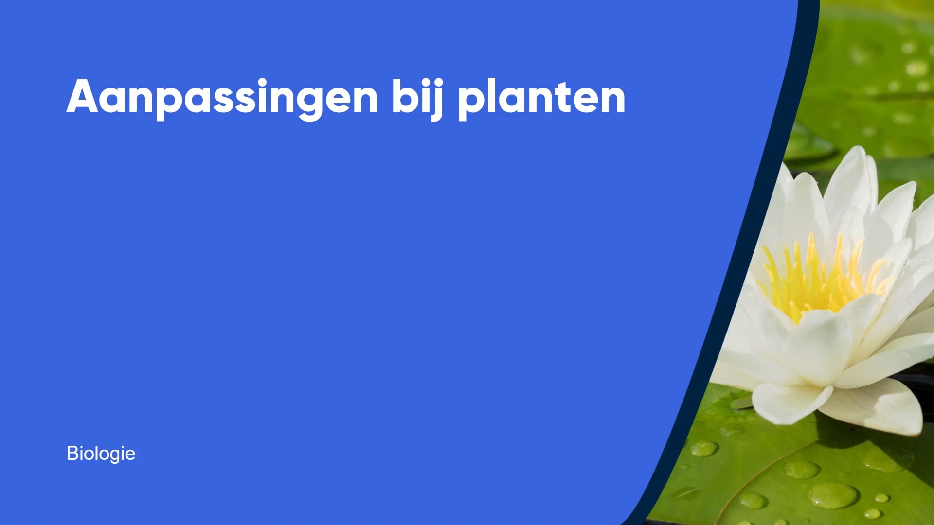 Aanpassingen bij planten