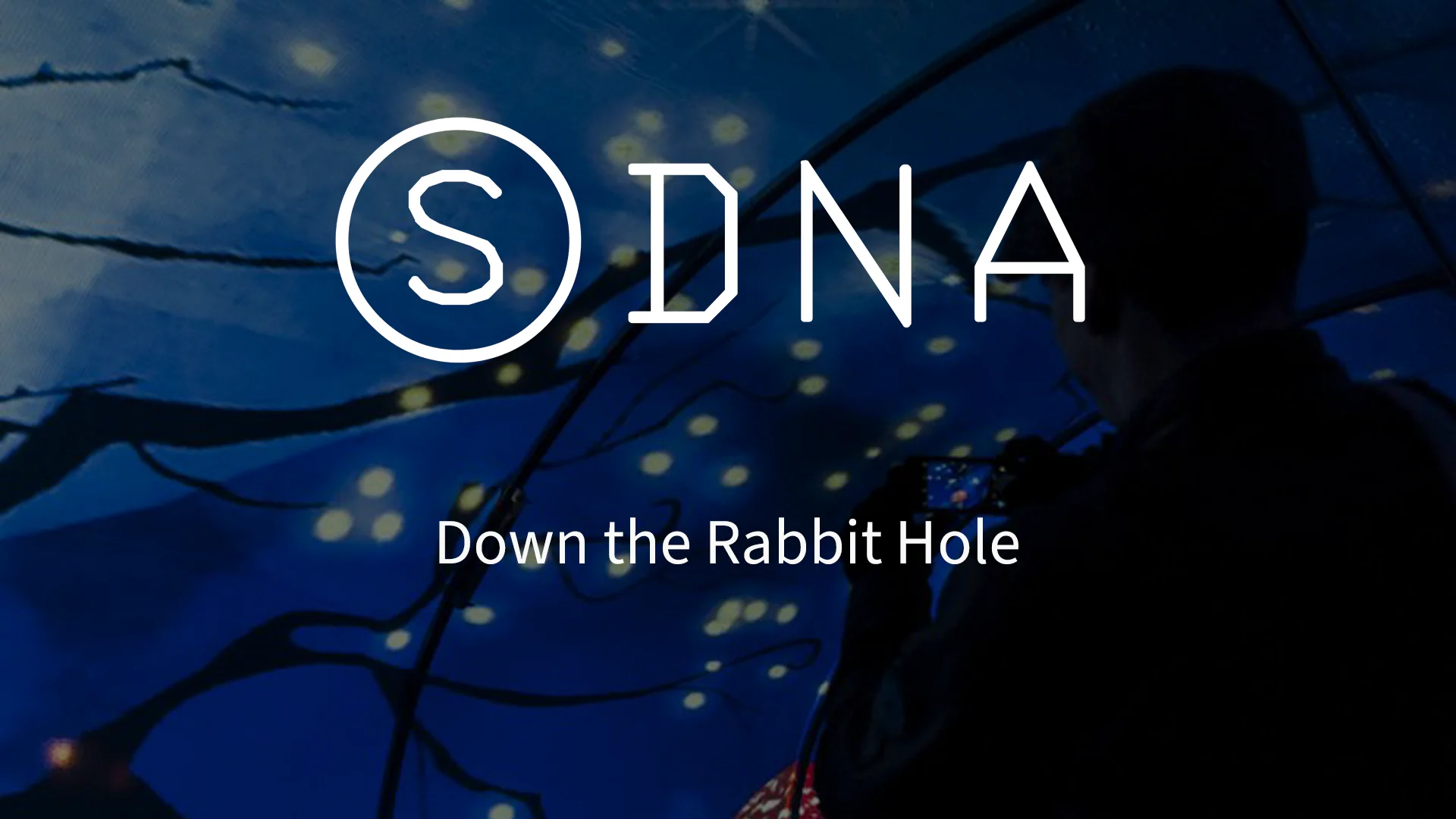ダイヤモンドアートクラブ　DAC Down the Rabbit Hole Down the Rabbit Hole – Diamond Art Club