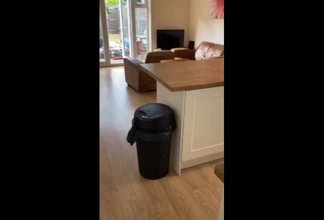 Video 1: Backyard