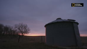 Heartland Docs, DVM - Cattle Roundup