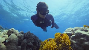 BENEATH THE SURFACE - THE FIGHT FOR CORALS - WARNER BROTHERS DISCOVERY