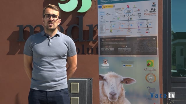 Fase dos del proyecto GC4SHEEP