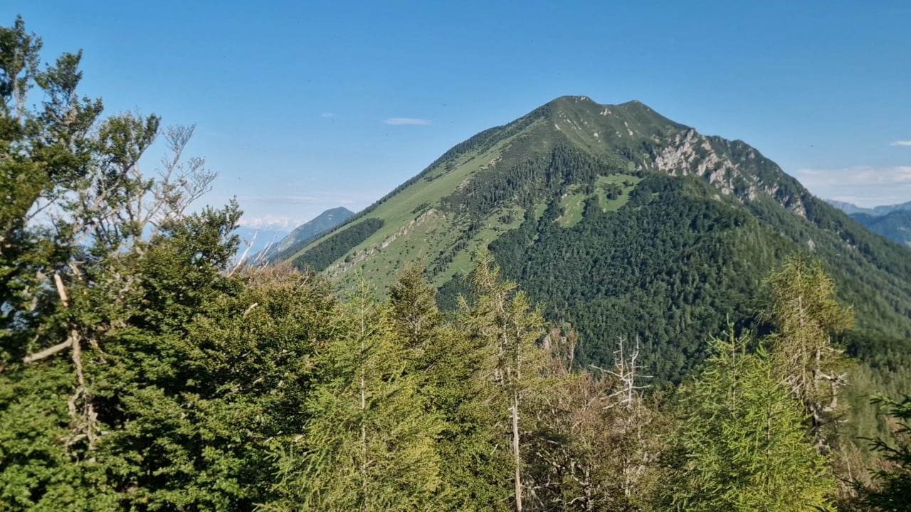 Javorov vrh Hudičev boršt panorama