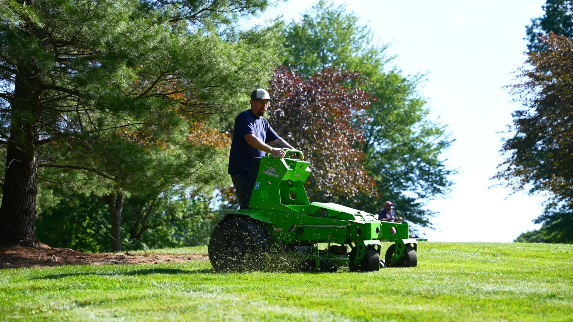 Why Choose Native Landscaping | Native Landscapes & Gardens