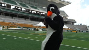 Waddle to Waco - Penguin Exhibit at Cameron Park Zoo Opening Soon!