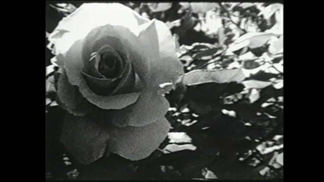 Still 1