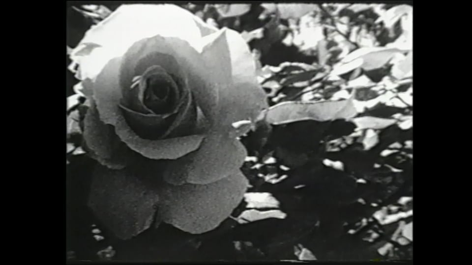 Varieties of Religious Experience, The
