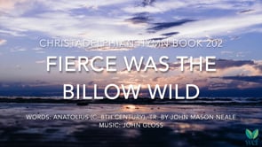 Hymn 202 - Fierce was the billow wild