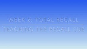Recall Practice - Beginners with Whistle