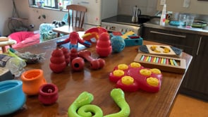 Puzzle Toy Tour