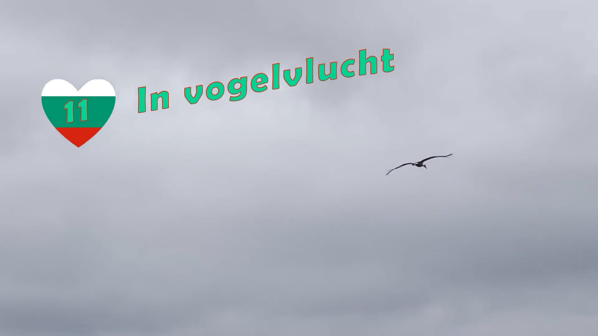 11 Out of a bird's-eye view - ENG
